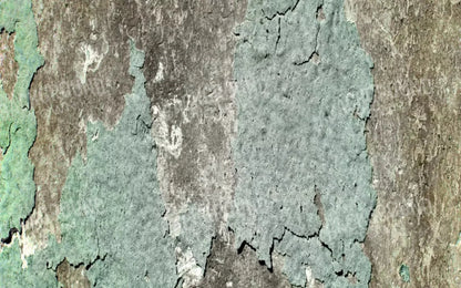 Cell 14X9 Ultracloth ( 168 X 108 Inch ) Backdrop