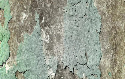 Cell 16X10 Ultracloth ( 192 X 120 Inch ) Backdrop