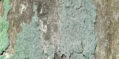 Cell 20X10 Ultracloth ( 240 X 120 Inch ) Backdrop