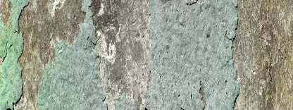 Cell 20X8 Ultracloth ( 240 X 96 Inch ) Backdrop