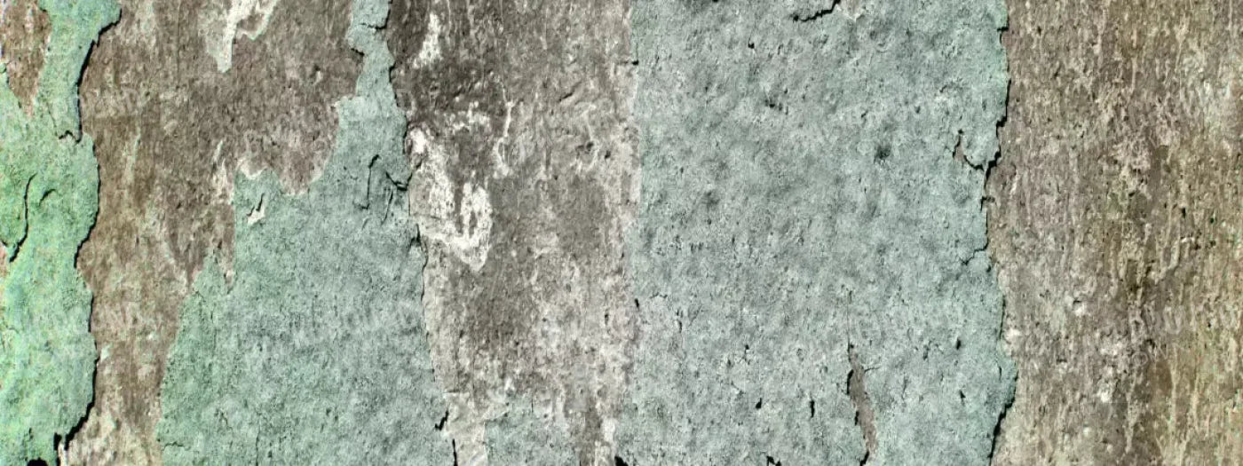 Cell 20X8 Ultracloth ( 240 X 96 Inch ) Backdrop