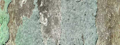 Cell 20X8 Ultracloth ( 240 X 96 Inch ) Backdrop