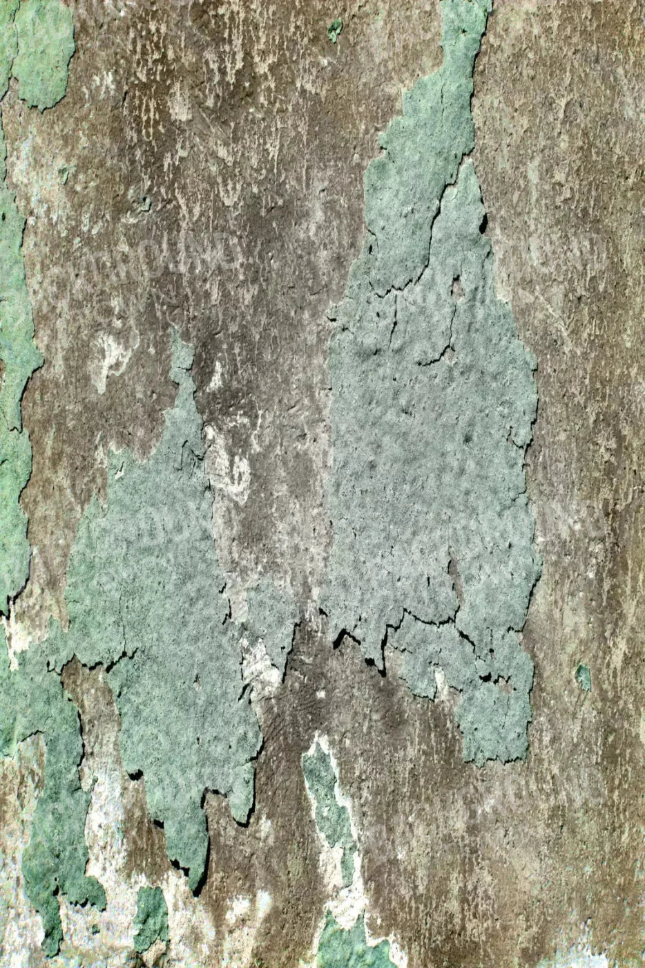 Cell 5X8 Ultracloth ( 60 X 96 Inch ) Backdrop