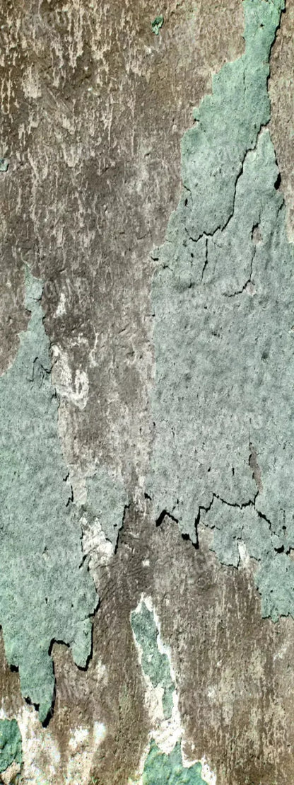 Cell 8X20 Ultracloth ( 96 X 240 Inch ) Backdrop