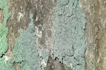 Cell 8X5 Ultracloth ( 96 X 60 Inch ) Backdrop