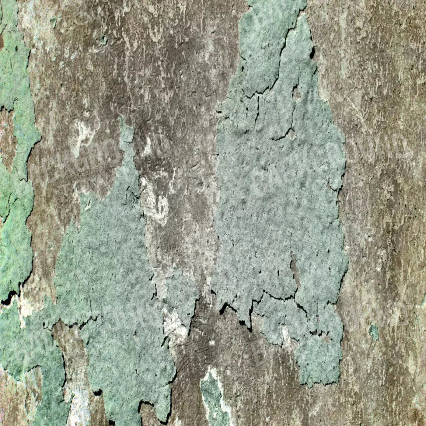 Cell 8X8 Fleece ( 96 X Inch ) Backdrop