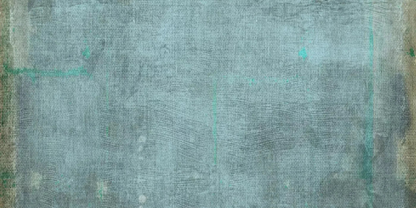 Charles 20X10 Ultracloth ( 240 X 120 Inch ) Backdrop