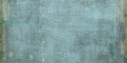 Charles 20X10 Ultracloth ( 240 X 120 Inch ) Backdrop