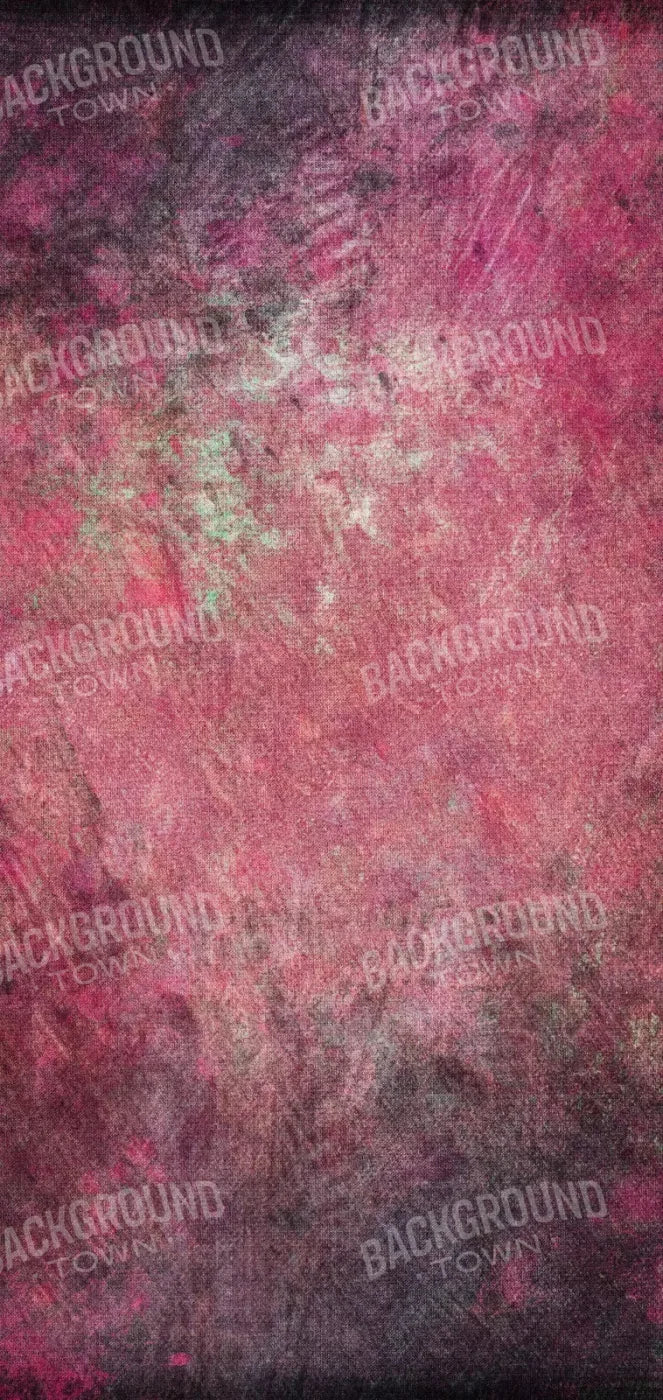 Charlotte 8X16 Ultracloth ( 96 X 192 Inch ) Backdrop