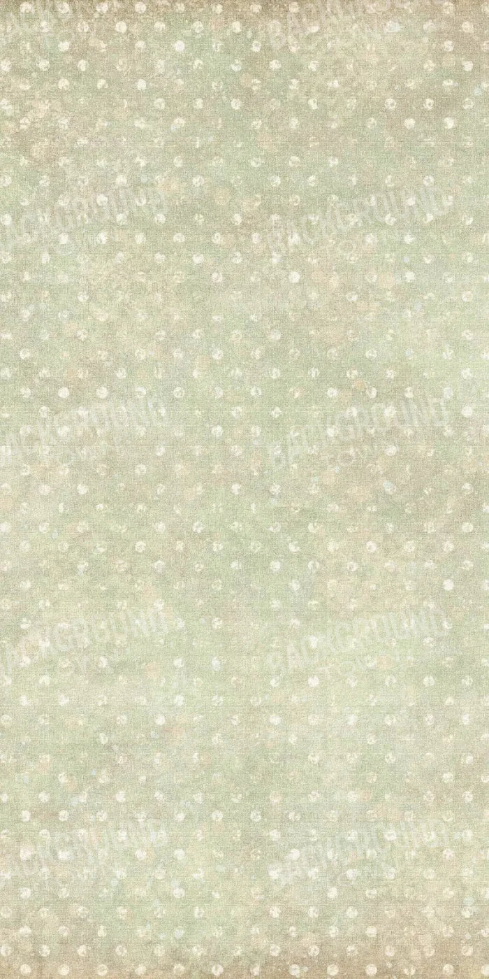 Charmaine 10X20 Ultracloth ( 120 X 240 Inch ) Backdrop