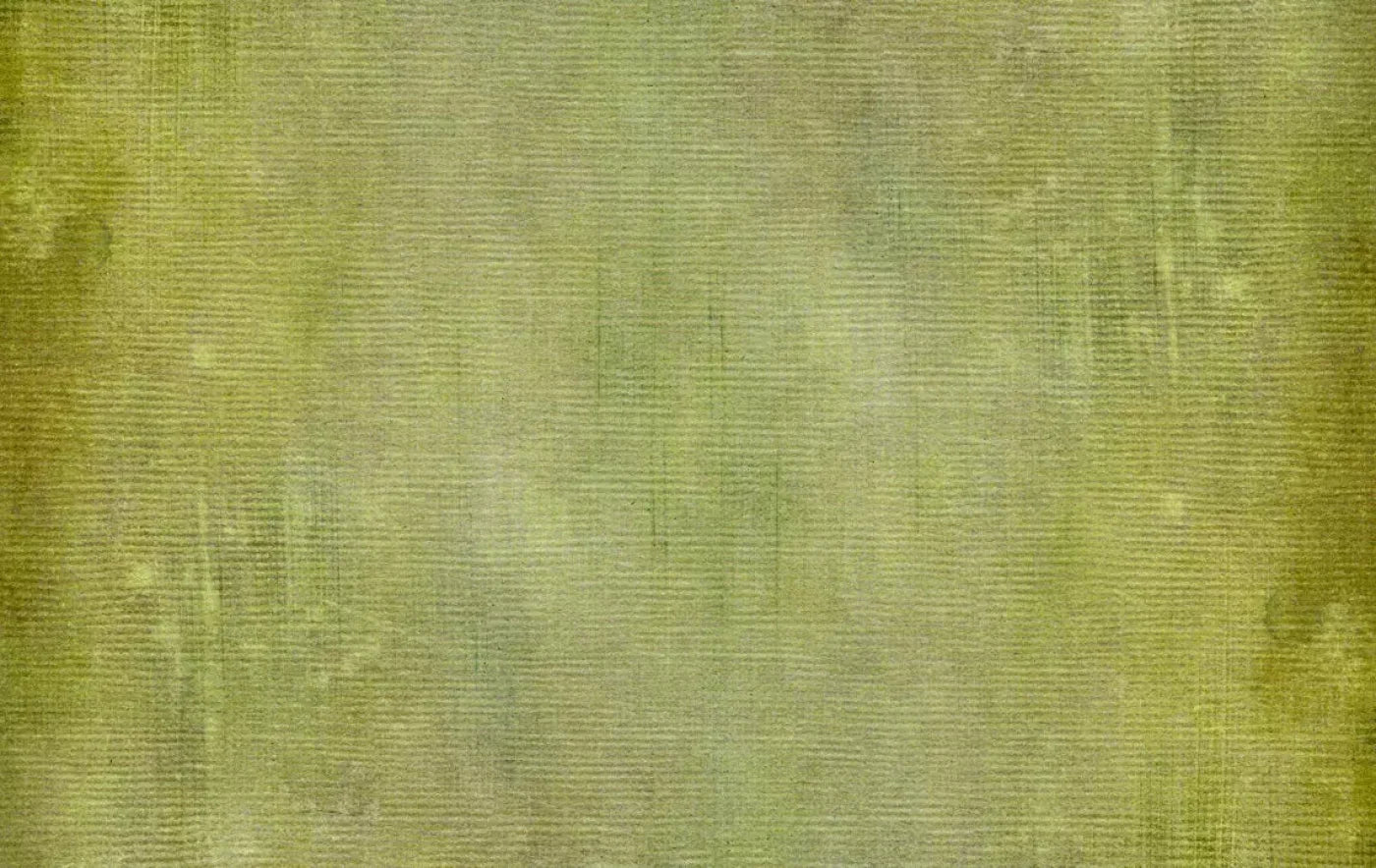 Chartreuse 16X10 Ultracloth ( 192 X 120 Inch ) Backdrop