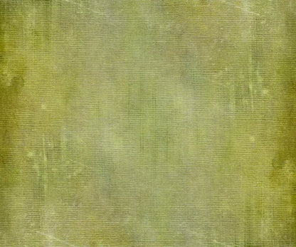Chartreuse 5X42 Fleece ( 60 X 50 Inch ) Backdrop
