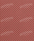 Red Pattern Backdrop for Photography