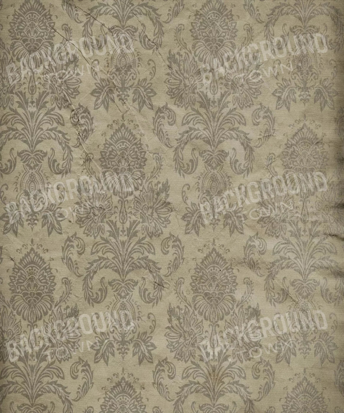 Beige Damask Backdrop for Photography