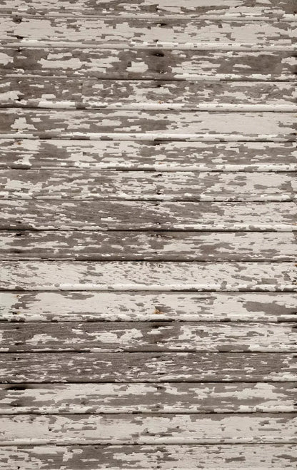 Chips 10X16 Ultracloth ( 120 X 192 Inch ) Backdrop