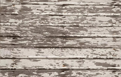 Chips 12X8 Ultracloth ( 144 X 96 Inch ) Backdrop