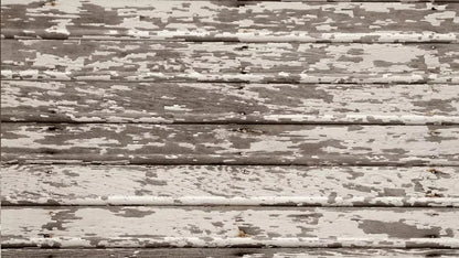 Chips 14X8 Ultracloth ( 168 X 96 Inch ) Backdrop