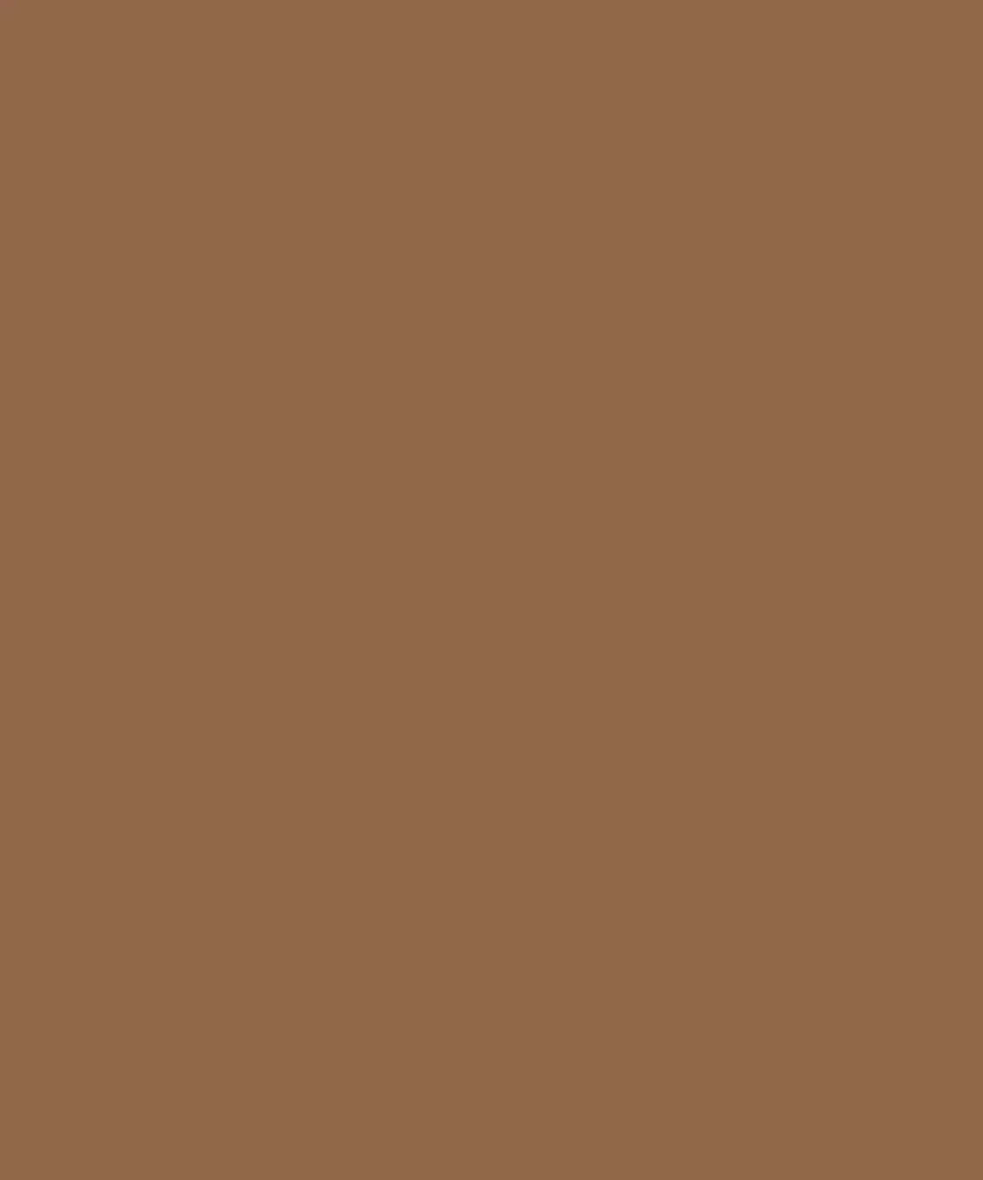 Chocolate Brown Solid Color Backdrop for Photography