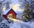 White Christmas Backdrop for Photography