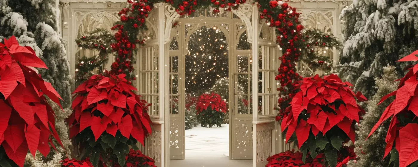 Christmas Garden Painterly I 20’X8’ Ultracloth (240 X 96 Inch) Backdrop