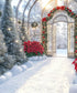 White Red Green   Backdrop for Photography