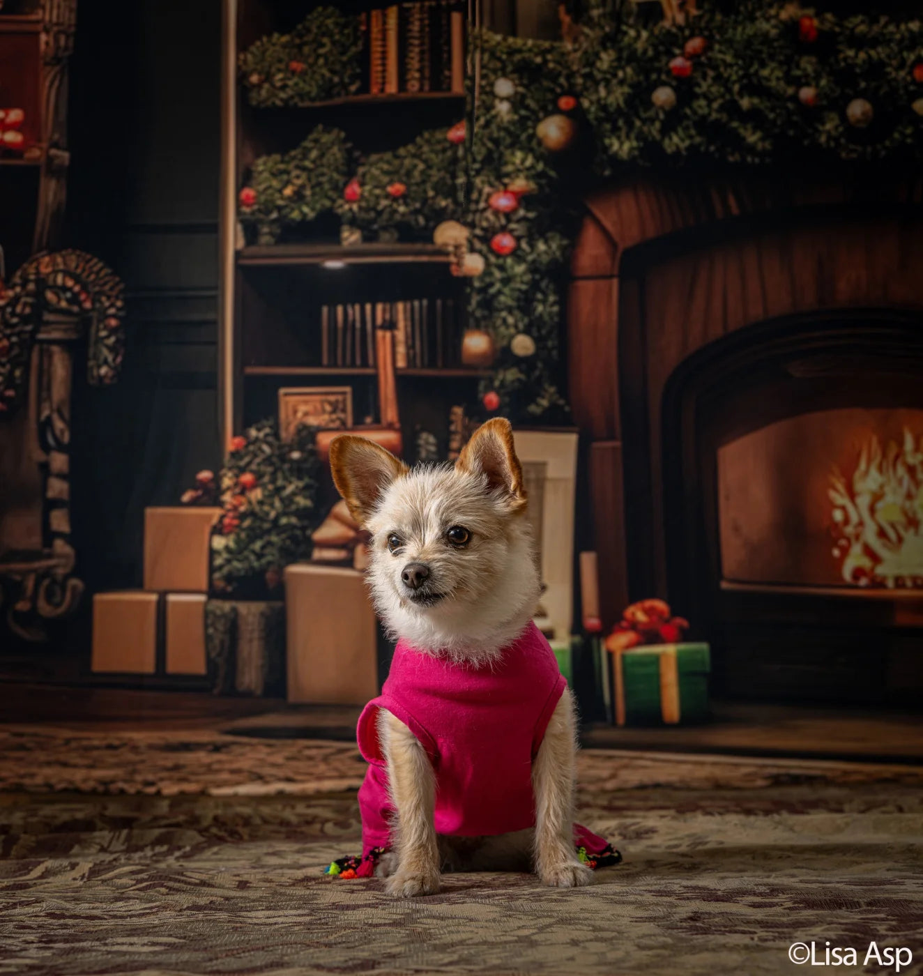 Christmas Living Room Full Backdrop
