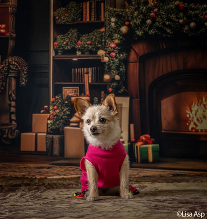 Christmas Living Room Full Backdrop