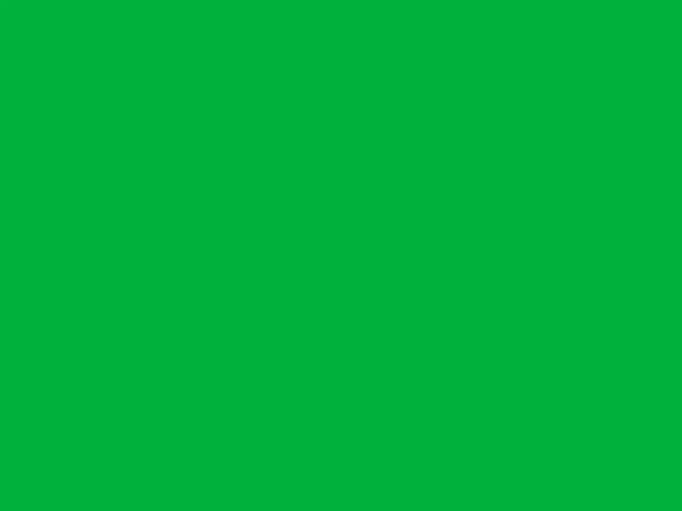Chroma Key 68X5 Fleece ( 80 X 60 Inch ) Backdrop