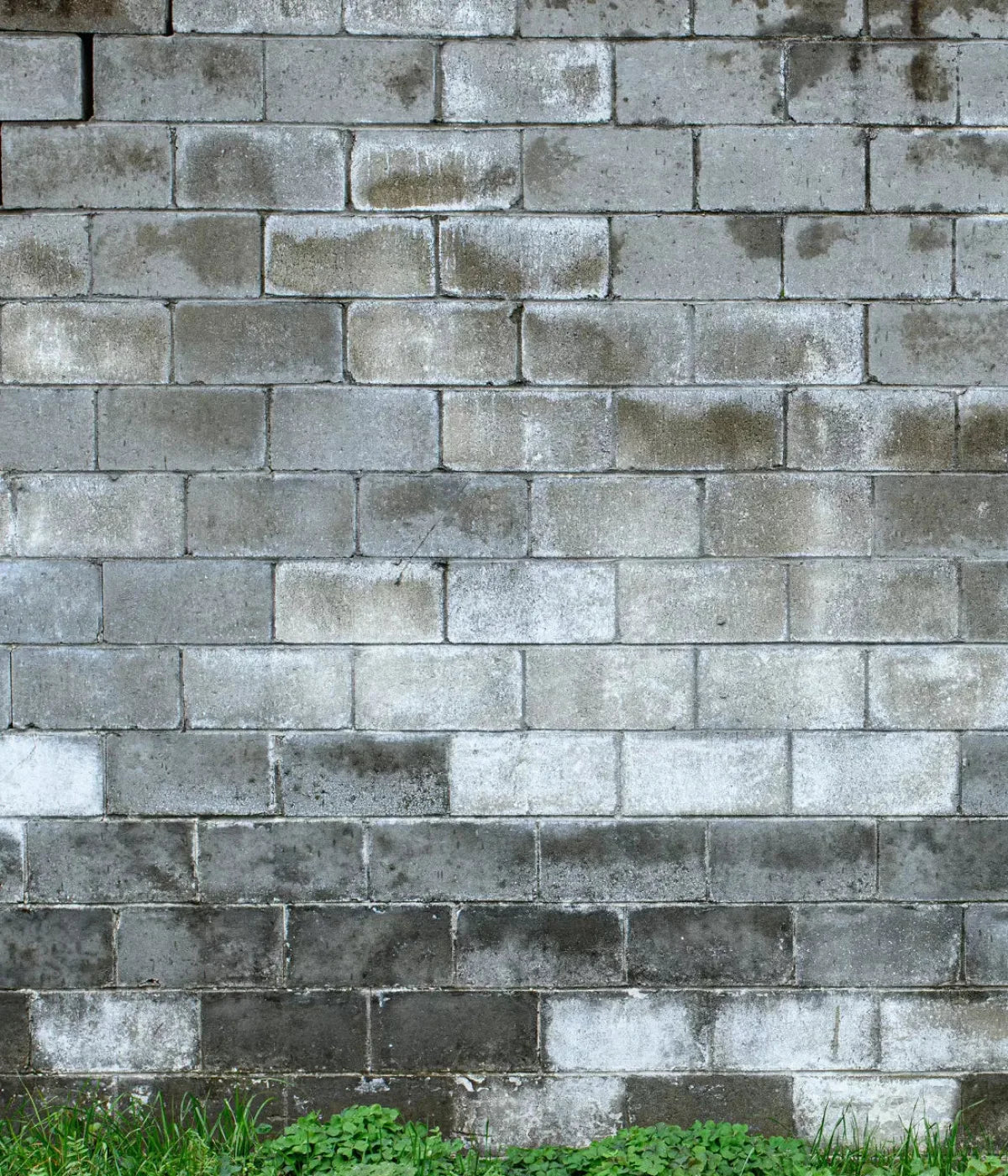 Cinder Block Wall 10X12 Ultracloth ( 120 X 144 Inch ) Backdrop