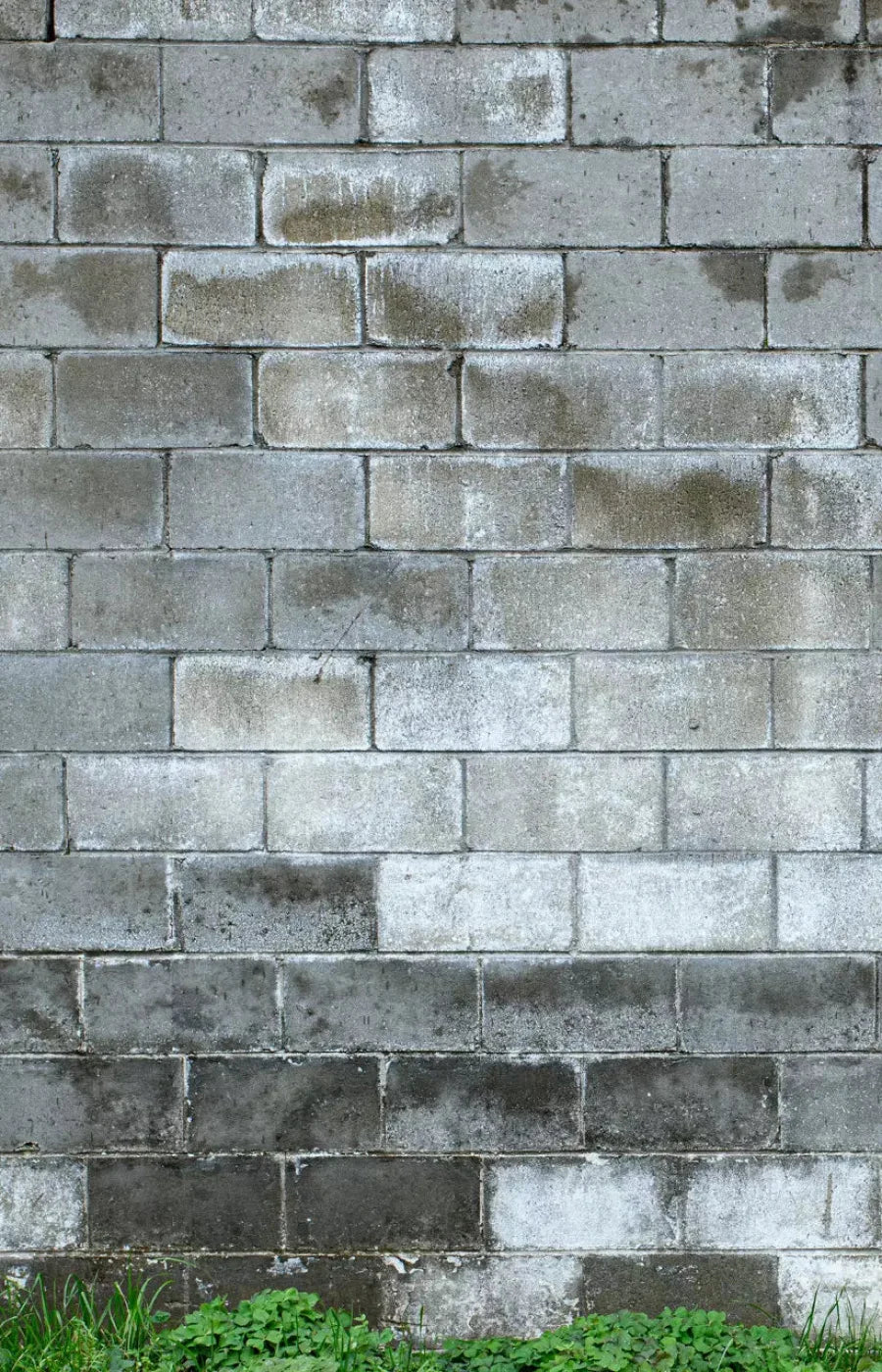 Cinder Block Wall 8X12 Ultracloth ( 96 X 144 Inch ) Backdrop