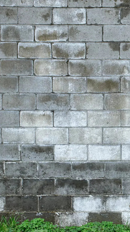 Cinder Block Wall 8X14 Ultracloth ( 96 X 168 Inch ) Backdrop