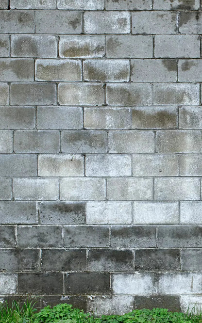 Cinder Block Wall 9X14 Ultracloth ( 108 X 168 Inch ) Backdrop