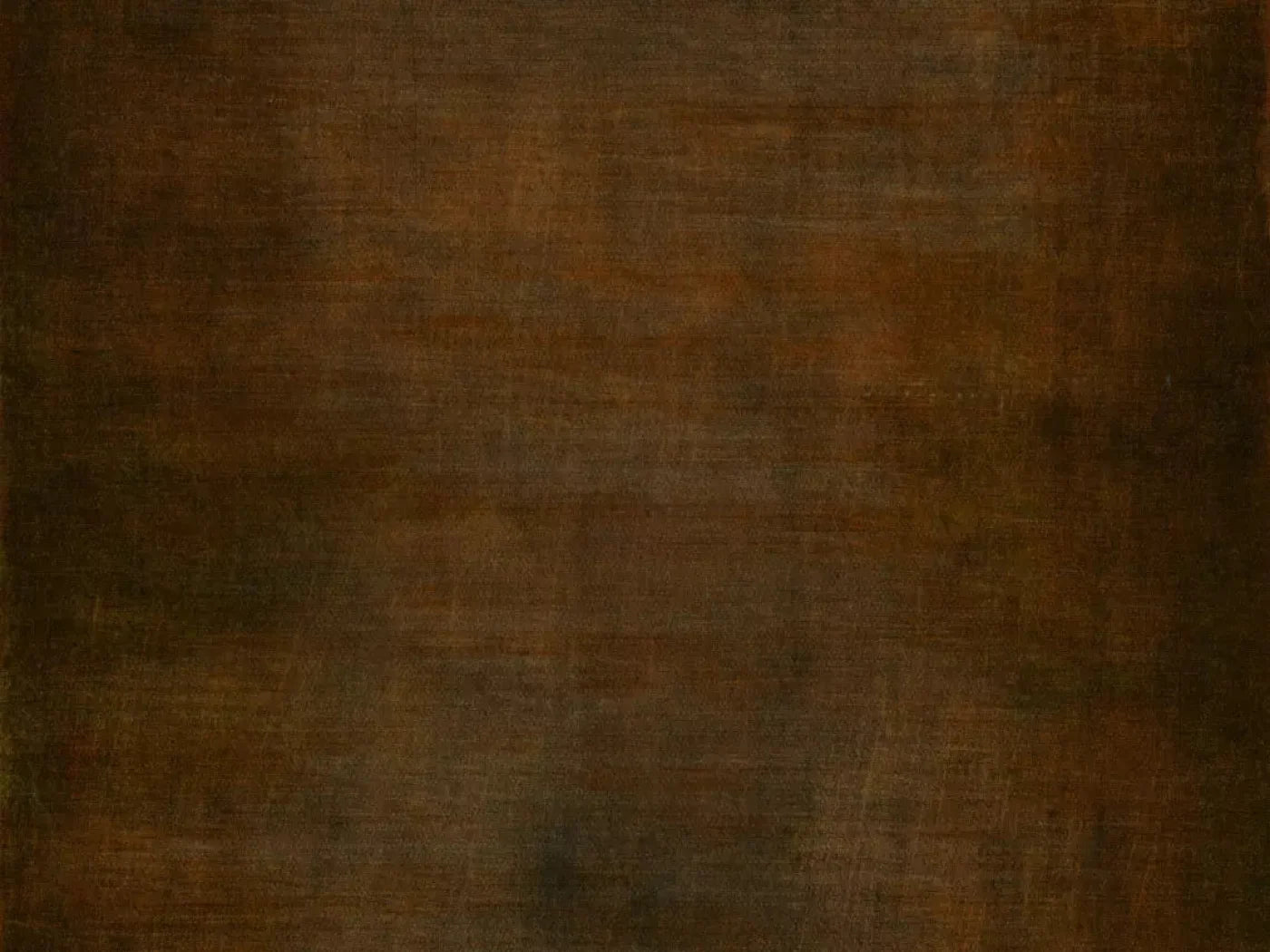 Cinnamon Stick 10X8 Fleece ( 120 X 96 Inch ) Backdrop