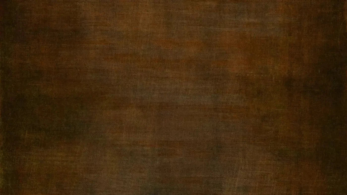 Cinnamon Stick 14X8 Ultracloth ( 168 X 96 Inch ) Backdrop