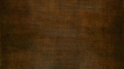 Cinnamon Stick 14X8 Ultracloth ( 168 X 96 Inch ) Backdrop