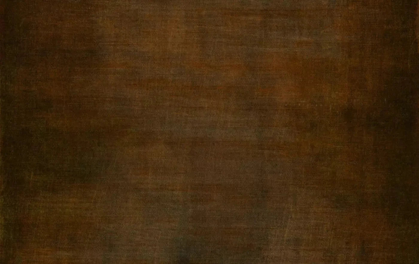 Cinnamon Stick 16X10 Ultracloth ( 192 X 120 Inch ) Backdrop