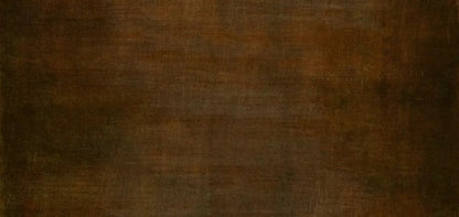 Cinnamon Stick 16X8 Ultracloth ( 192 X 96 Inch ) Backdrop
