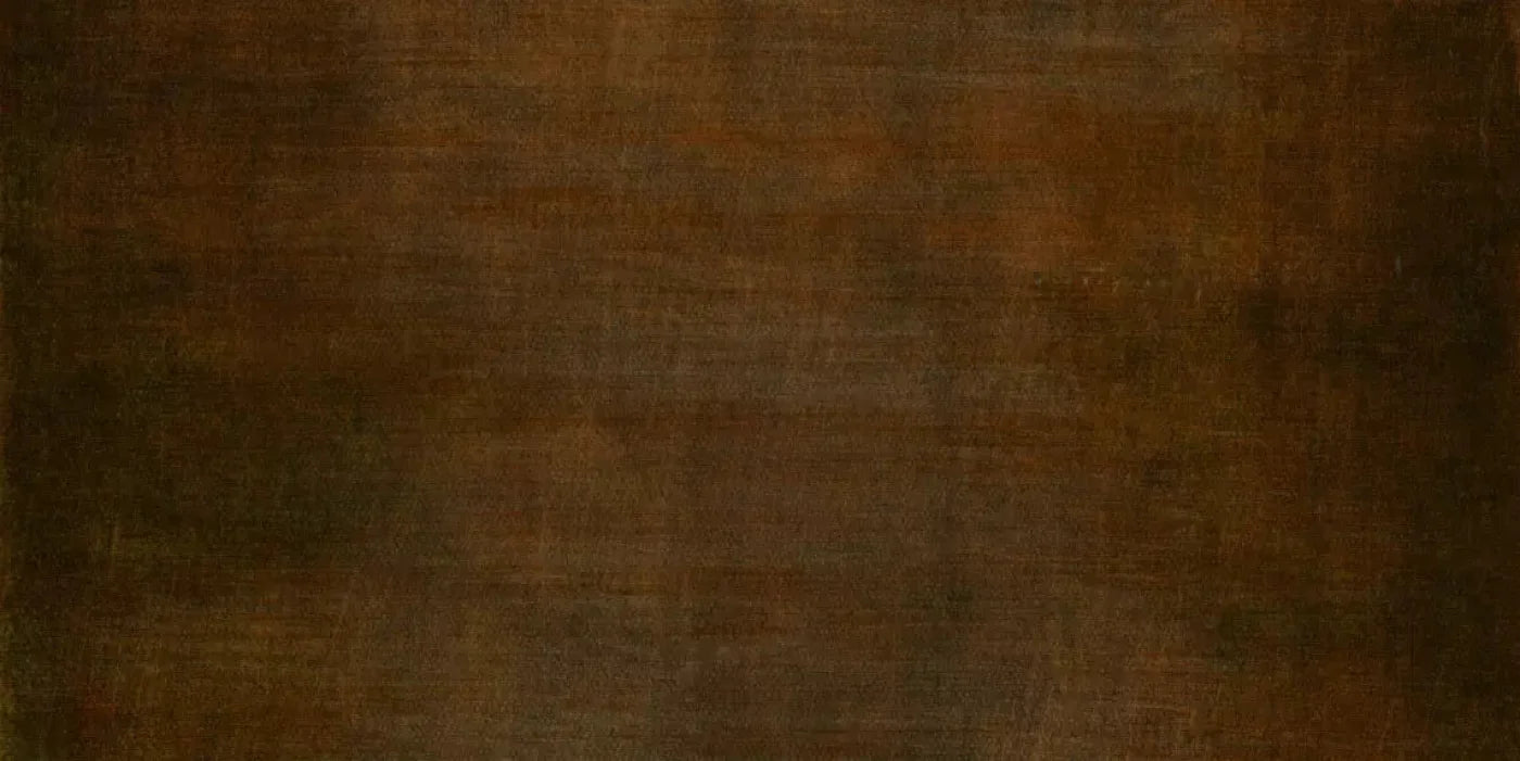 Cinnamon Stick 20X10 Ultracloth ( 240 X 120 Inch ) Backdrop
