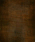 Brown Classic and Masters Backdrop for Photography