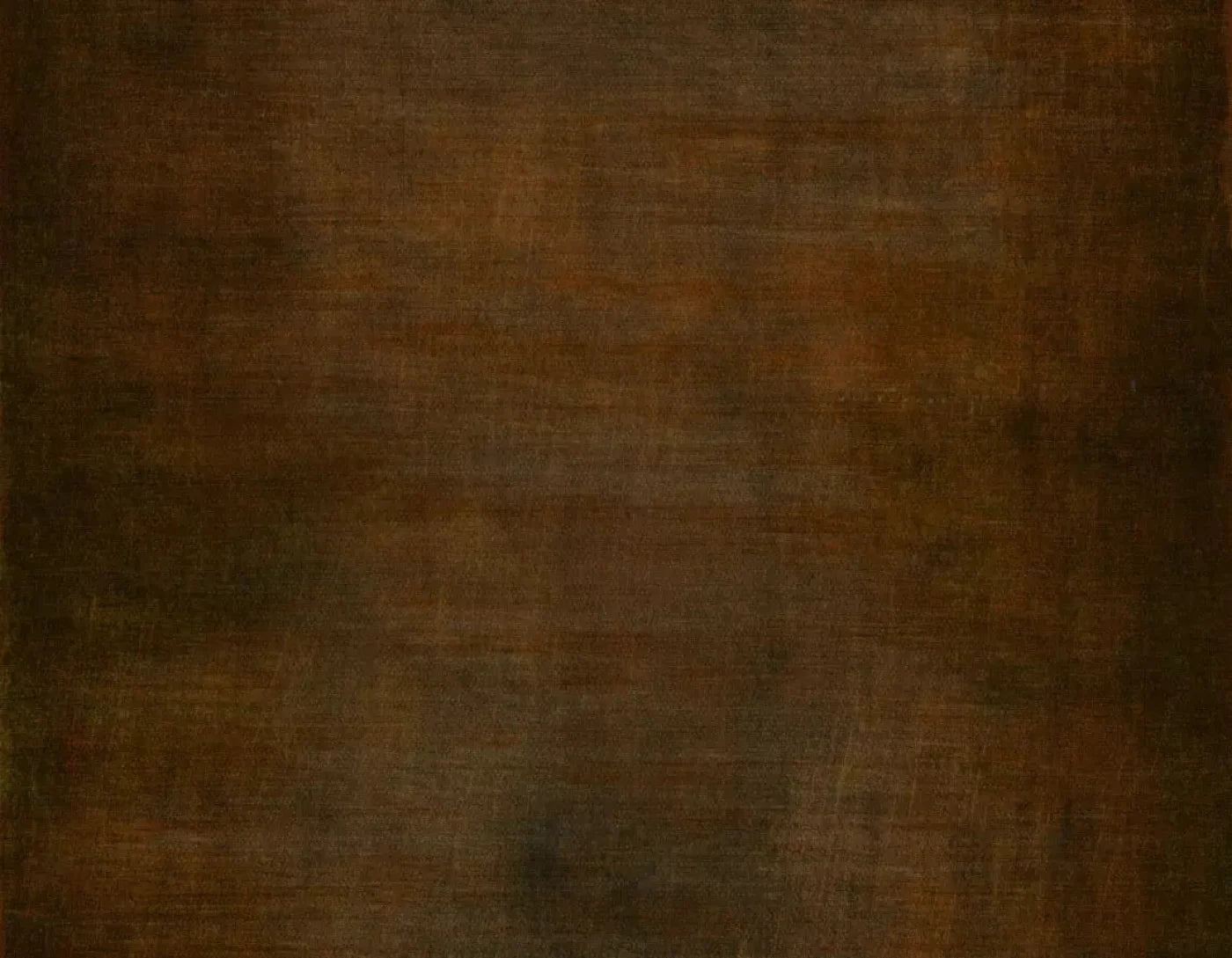 Cinnamon Stick 8X6 Fleece ( 96 X 72 Inch ) Backdrop