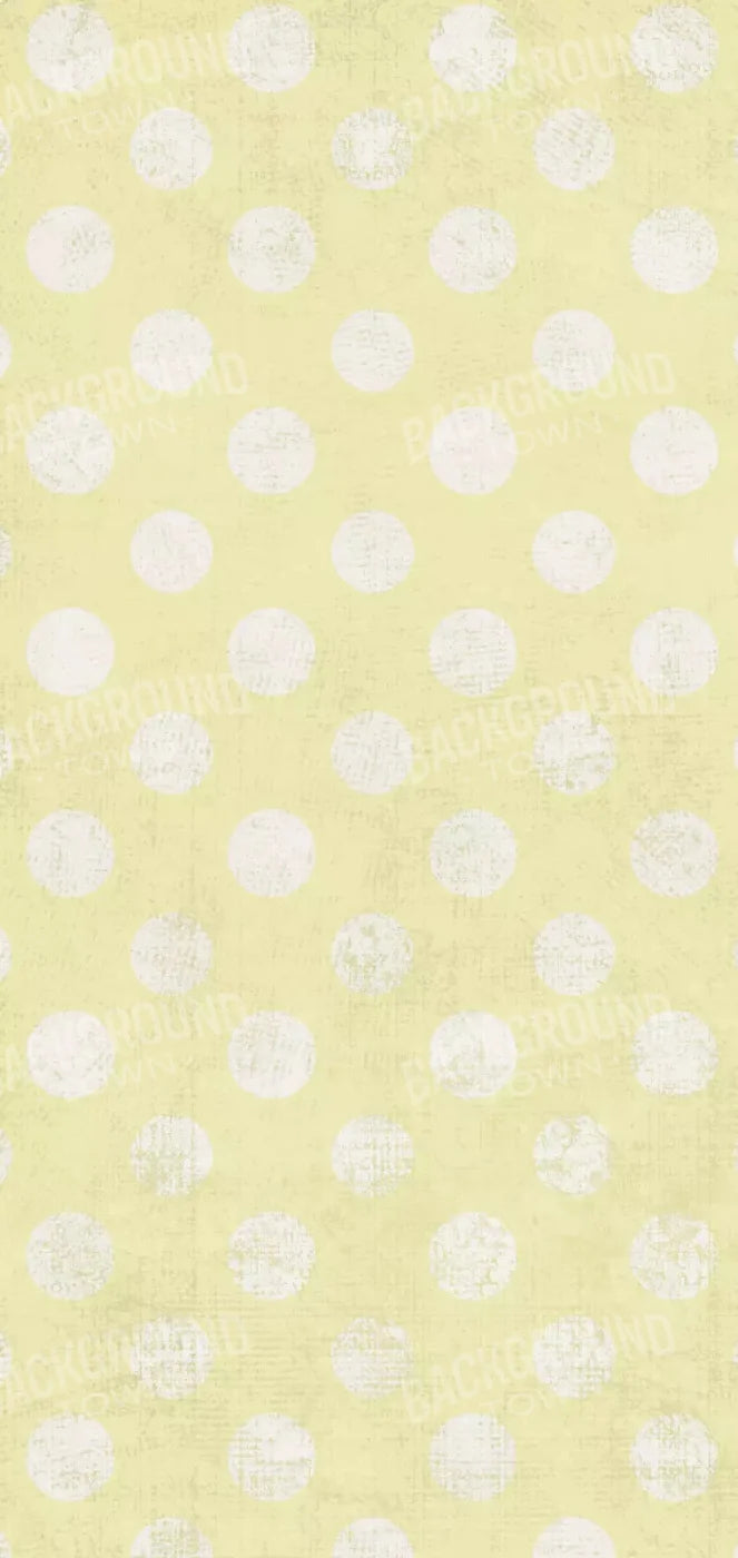 Citrus Circle 8X16 Ultracloth ( 96 X 192 Inch ) Backdrop