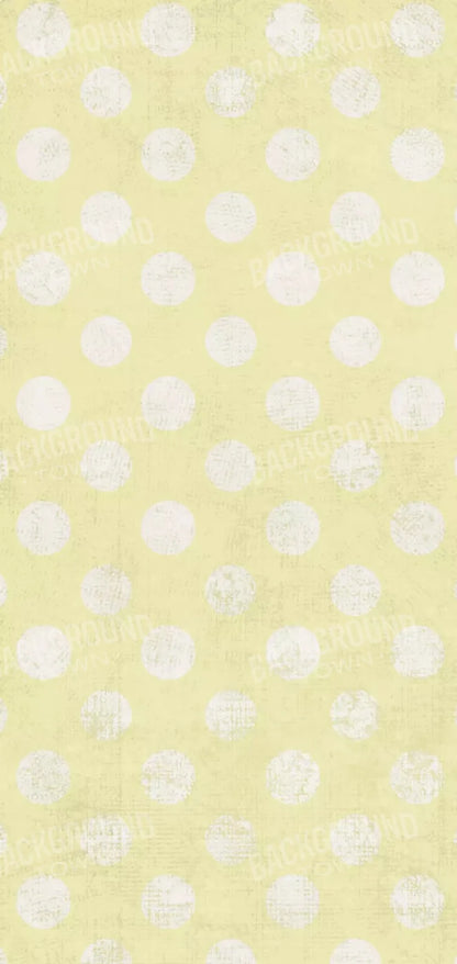 Citrus Circle 8X16 Ultracloth ( 96 X 192 Inch ) Backdrop