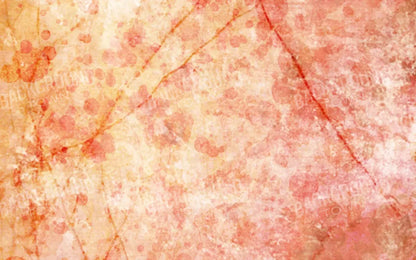 Claire 14X9 Ultracloth ( 168 X 108 Inch ) Backdrop