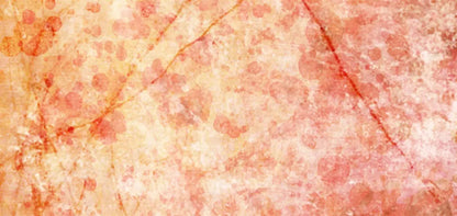 Claire 16X8 Ultracloth ( 192 X 96 Inch ) Backdrop