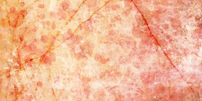 Claire 20X10 Ultracloth ( 240 X 120 Inch ) Backdrop