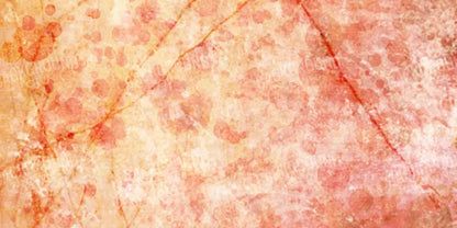Claire 20X10 Ultracloth ( 240 X 120 Inch ) Backdrop