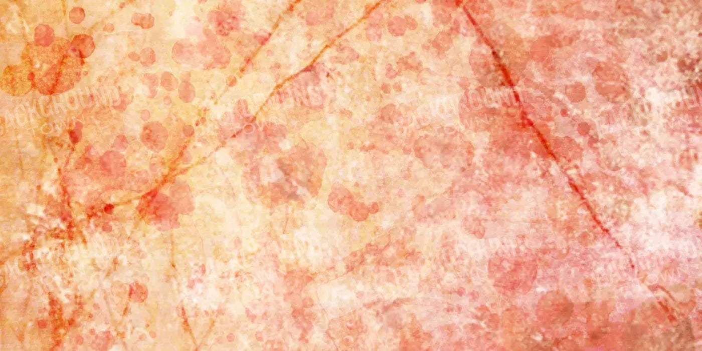 Claire 20X10 Ultracloth ( 240 X 120 Inch ) Backdrop