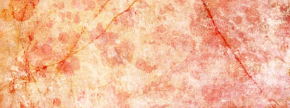 Claire 20X8 Ultracloth ( 240 X 96 Inch ) Backdrop