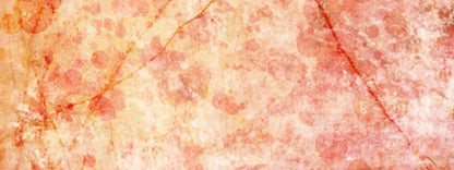 Claire 20X8 Ultracloth ( 240 X 96 Inch ) Backdrop