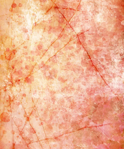  Urban Grunge Backdrop for Photography